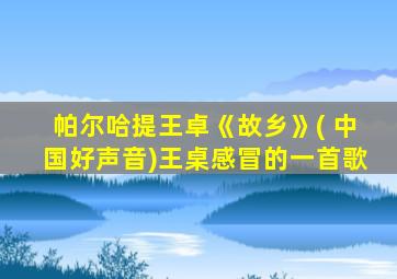 帕尔哈提王卓《故乡》( 中国好声音)王桌感冒的一首歌